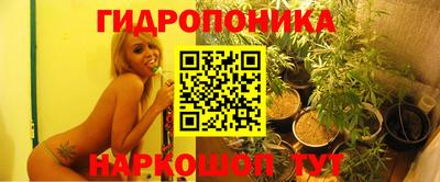 амф Чебоксары