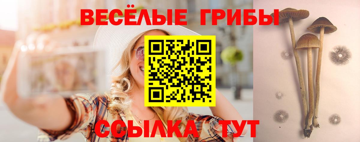 Галлюциногенные грибы Magic Shrooms  Галлюциногенные грибы ЛСД  Ульяновск  Вход с VPN 